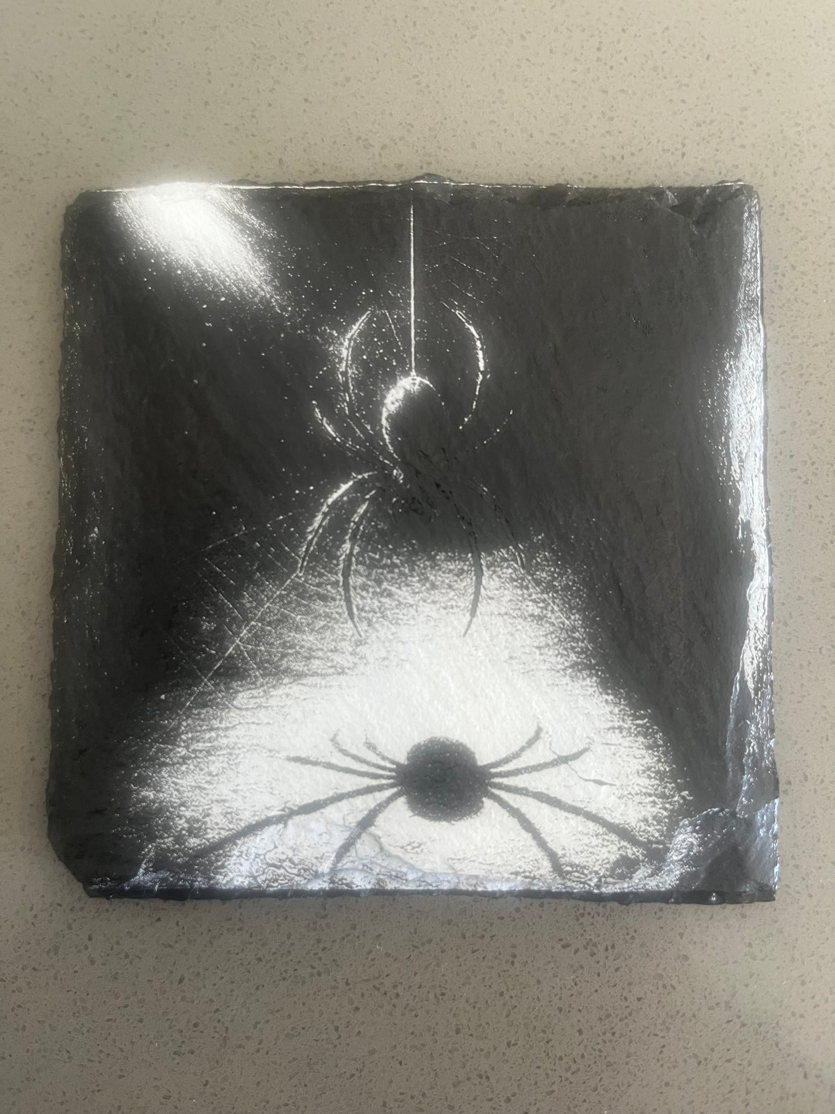 Spider Coaster