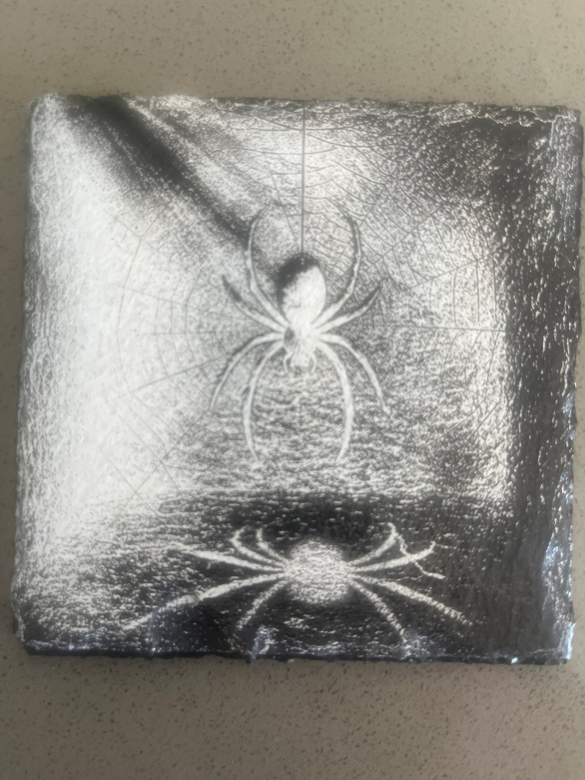 Spider Coaster