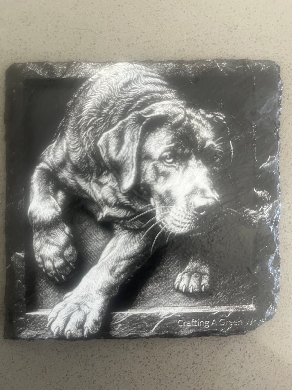 3D dog coaster