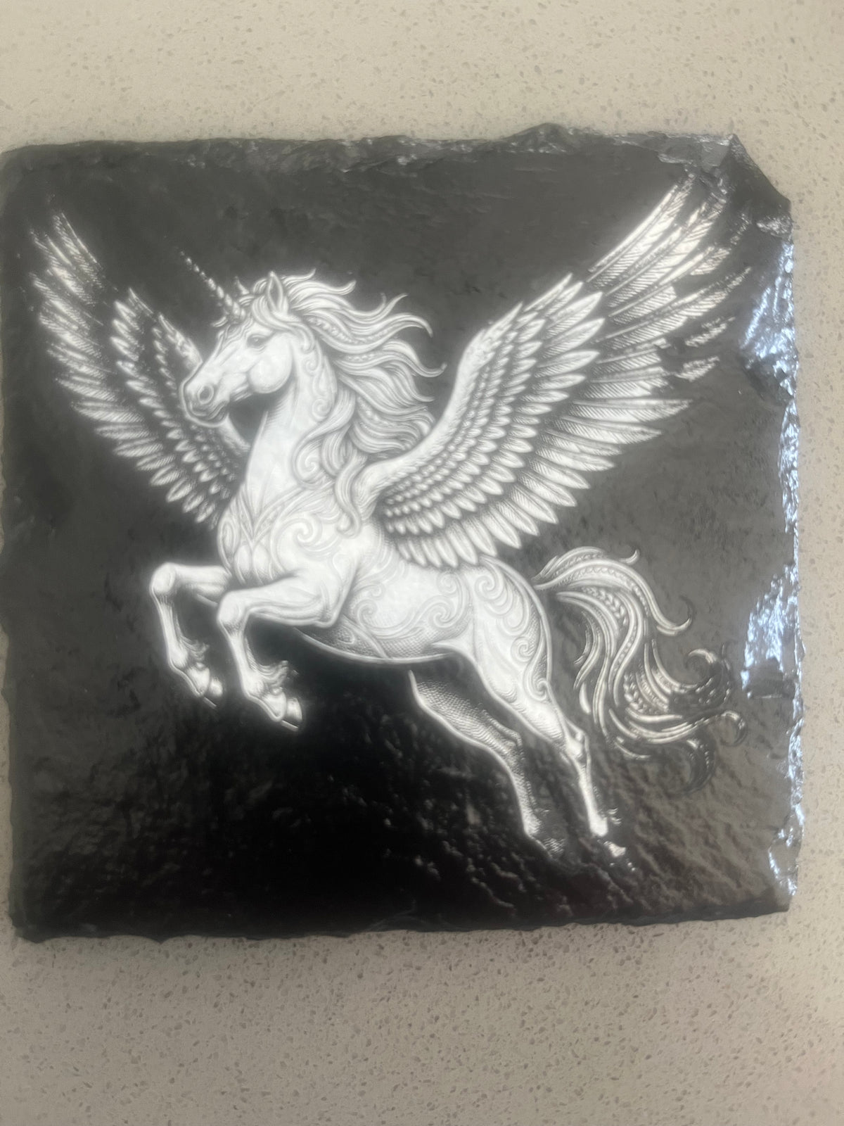 Pegasus Coaster